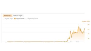 +1,141% Organic Traffic Growth in a Social Media Marketplace