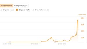 25,900% Traffic Growth in 2 Months for SaaS & Tools Platform
